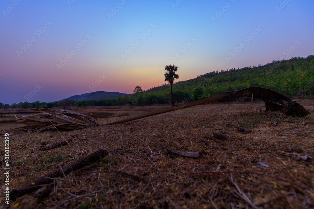Ταπετσαρία The Colors of Dusk