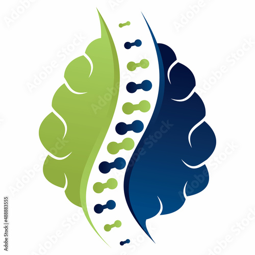 Brain with back bone symbol represent chiropractic therapy. Brain and spinal column logo