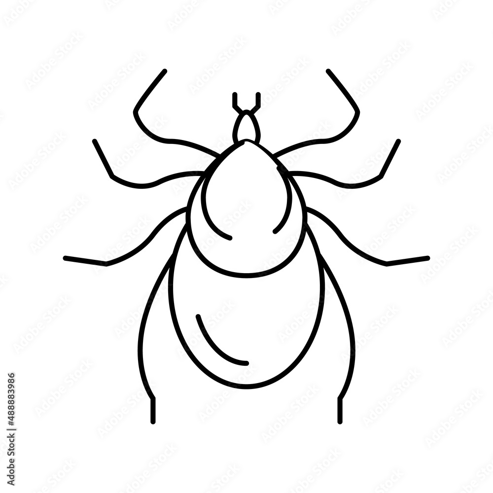 chafer insect line icon vector illustration chafer insect line icon vector illustration