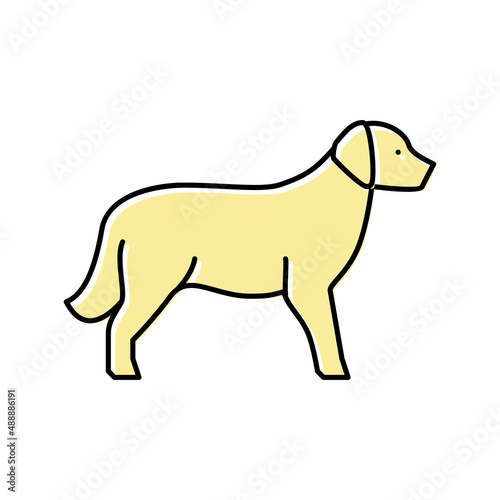 golden retriever dog color icon vector illustration