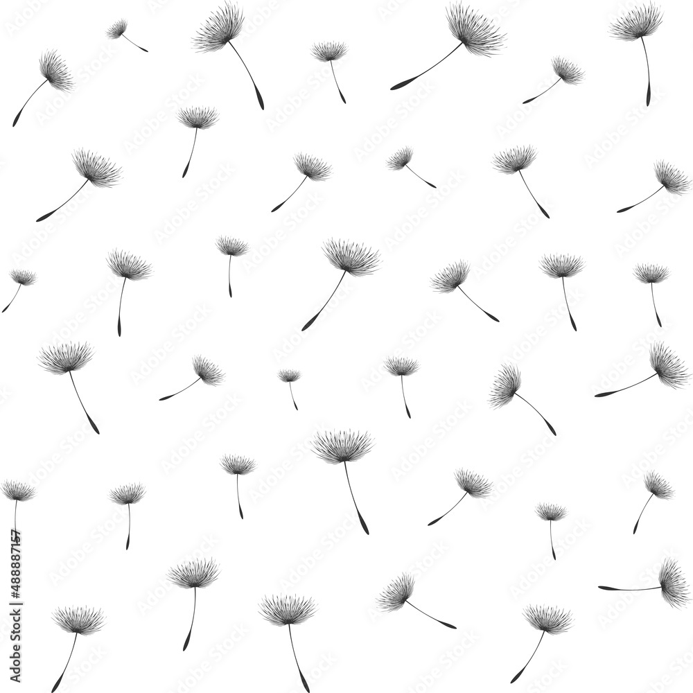 Floral background seamless pattern black and white with dandelion fluff ...