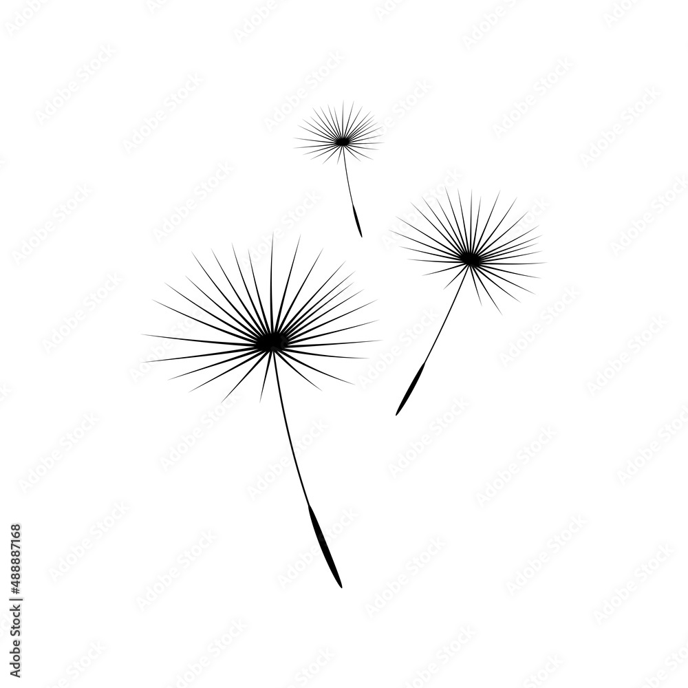 Vector illustration dandelion time. Dandelion seeds blowing in the wind. The wind inflates a dandelion isolated in white background. Black and white.