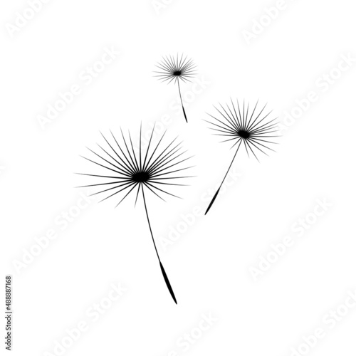 Fototapeta Naklejka Na Ścianę i Meble -  Vector illustration dandelion time. Dandelion seeds blowing in the wind. The wind inflates a dandelion isolated in white background. Black and white.