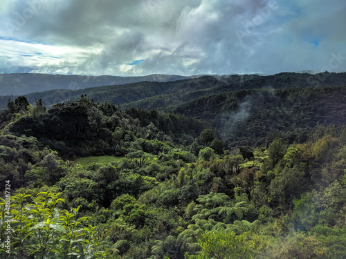 Picturesque landscape at Waitakere Ranges Regional Park, New Zealand. photo