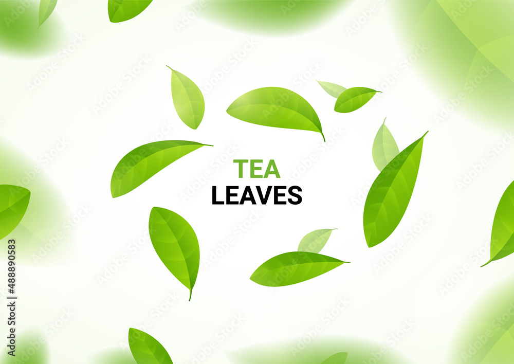 Green tea vector background mint eco illustration. Organic green tea flying leaf fresh concept Green tea vector background mint eco illustration. Organic green tea flying leaf fresh concept
