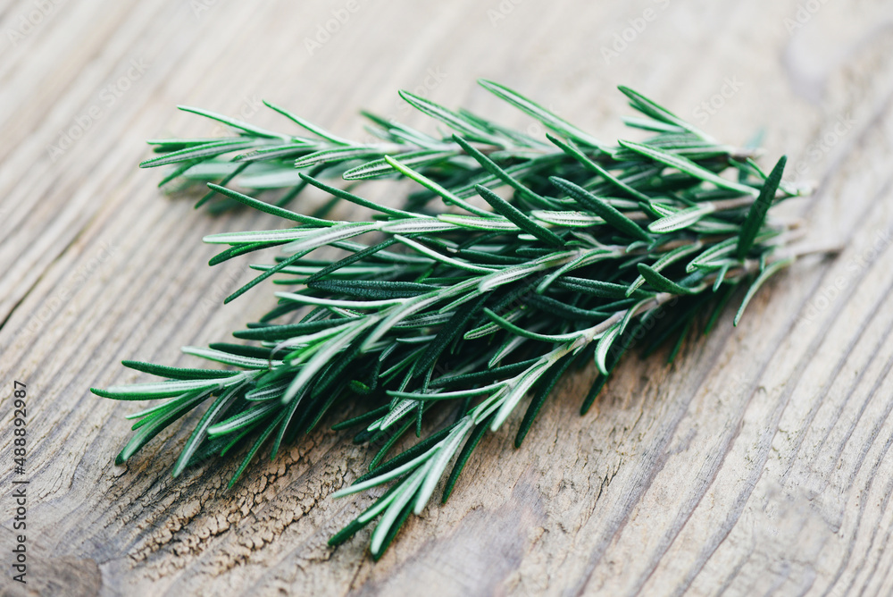 rosemary herb, fresh rosemary on wooden background rosemary herb, fresh rosemary on wooden background