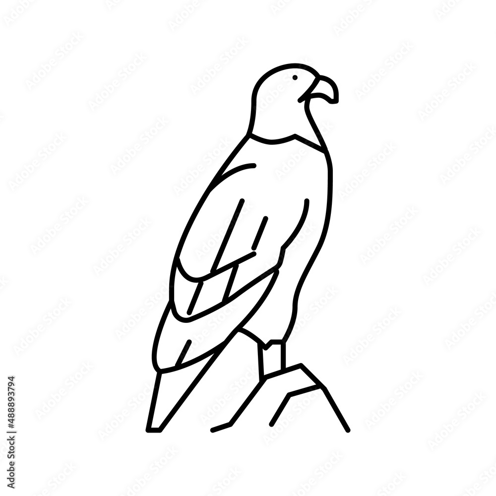 eagle bird in zoo line icon vector illustration eagle bird in zoo line icon vector illustration