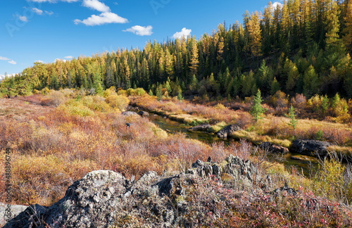 Altai river Kurkurek with larch forest on Eshtykel plateau. photo