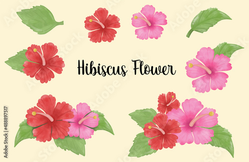 Hibiscus flower watercolor