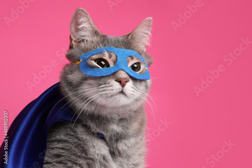 Adorable cat in blue superhero cape and mask on pink background, space for text © New Africa