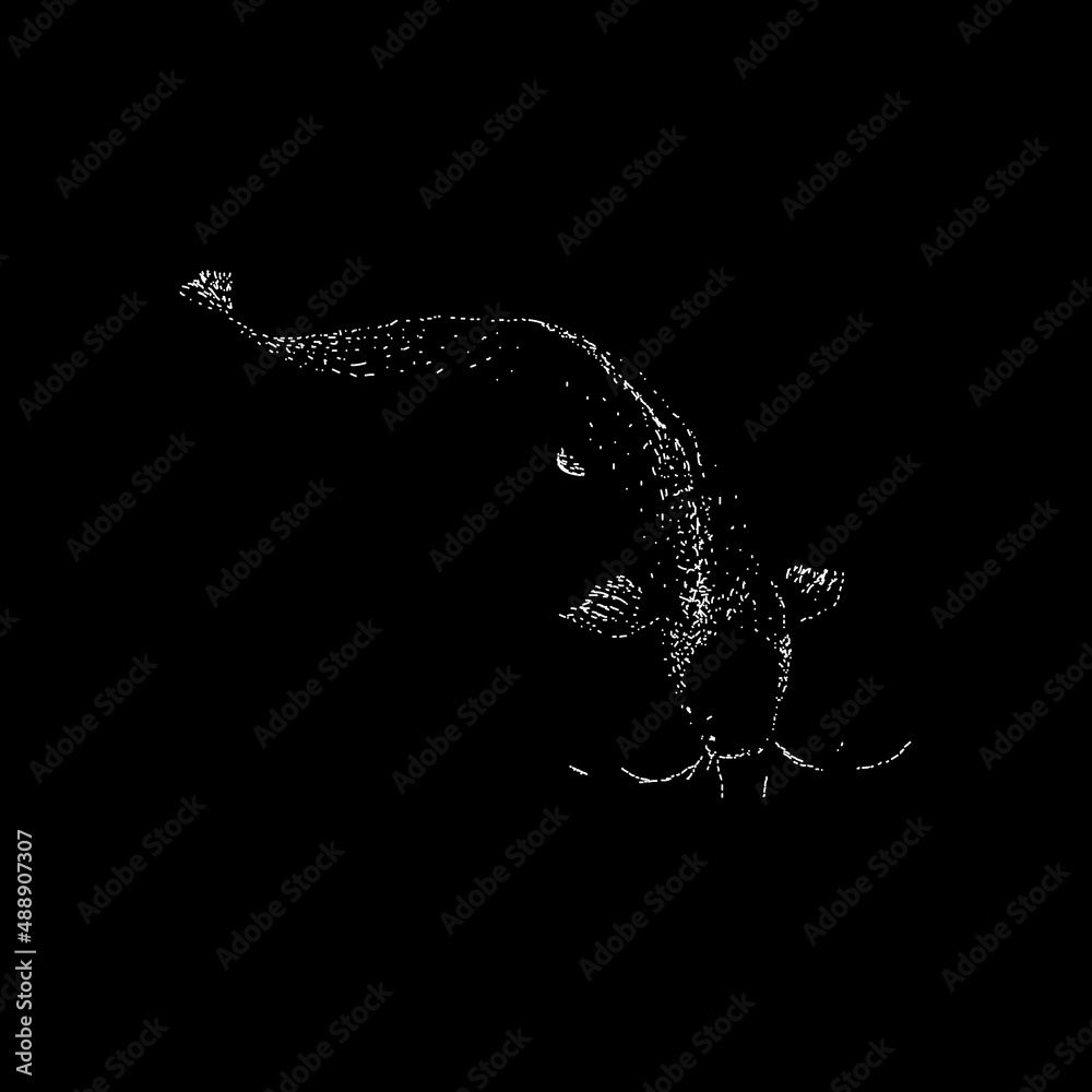 walking catfish hand drawing vector illustration isolated on black
