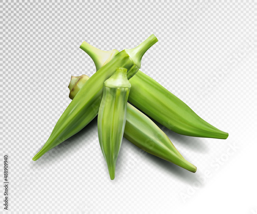 Fresh young okra isolated on transparent background. Quality realistic vector, 3d illustration