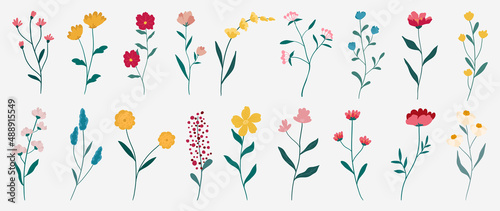 Collection of colorful floral elements in flat color. Set of spring and summer wild flowers, plants, branches, leaves and herb. Hand drawn of blossom vectors for decor, website, graphic and shop.