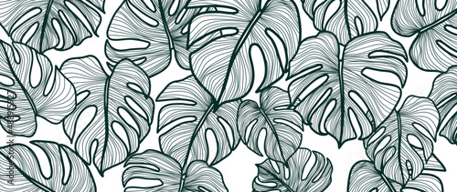 Abstract tropical leaf on white background. Hand drawn of philodendron plant, monstera leaves in line art pattern. Leafy nature design for wallpaper, banner, covers, wall art, home decor, fabric.