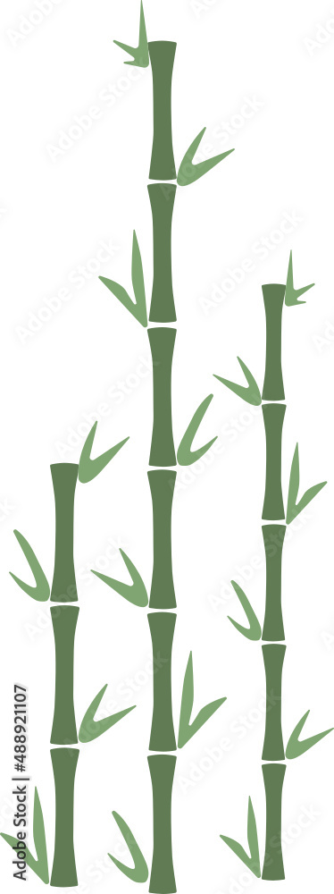 Obraz premium bamboo isolated on white