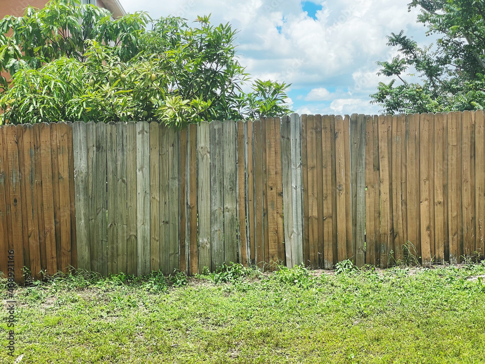Fototapeta premium wooden fence and green grass