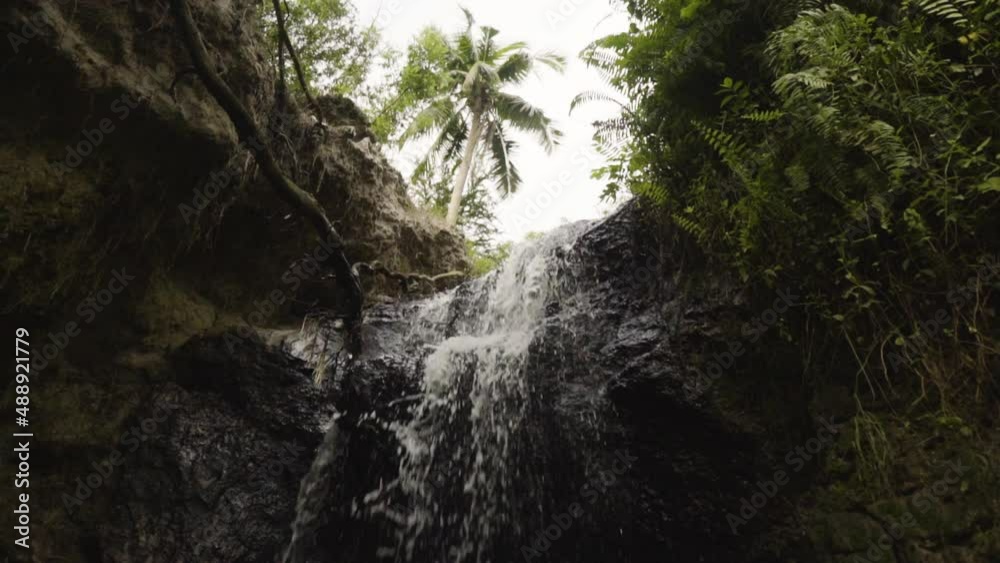 Slow mo, water flowing down small tropical waterfall. Low angle. Moss and palm tree in background Slow mo, water flowing down small tropical waterfall. Low angle. Moss and palm tree in background