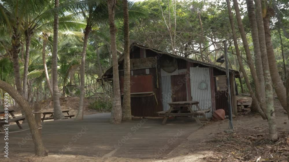 Tropical Palm Trees Around The Old Shack At Summer Near The Beach In QLD, Australia. - wide shot Tropical Palm Trees Around The Old Shack At Summer Near The Beach In QLD, Australia. - wide shot
