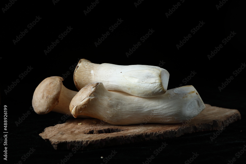 Fototapeta premium Whole fresh king oyster mushrooms