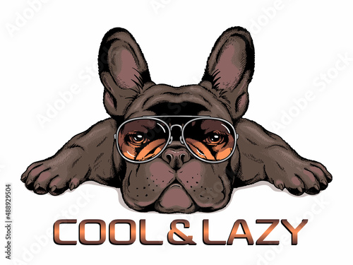 Cute french bulldog in sunglasses. Vector illustration in hand-drawn style. Cool and lazy illustration. Image for printing on any surface	
