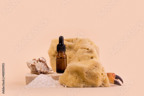 Spa And Beauty Care Set of Cosmetic oil Bottle Sea Sponge Soap and Various Shells.