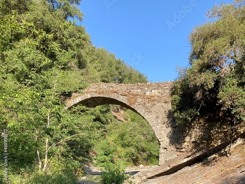 bridge over the river