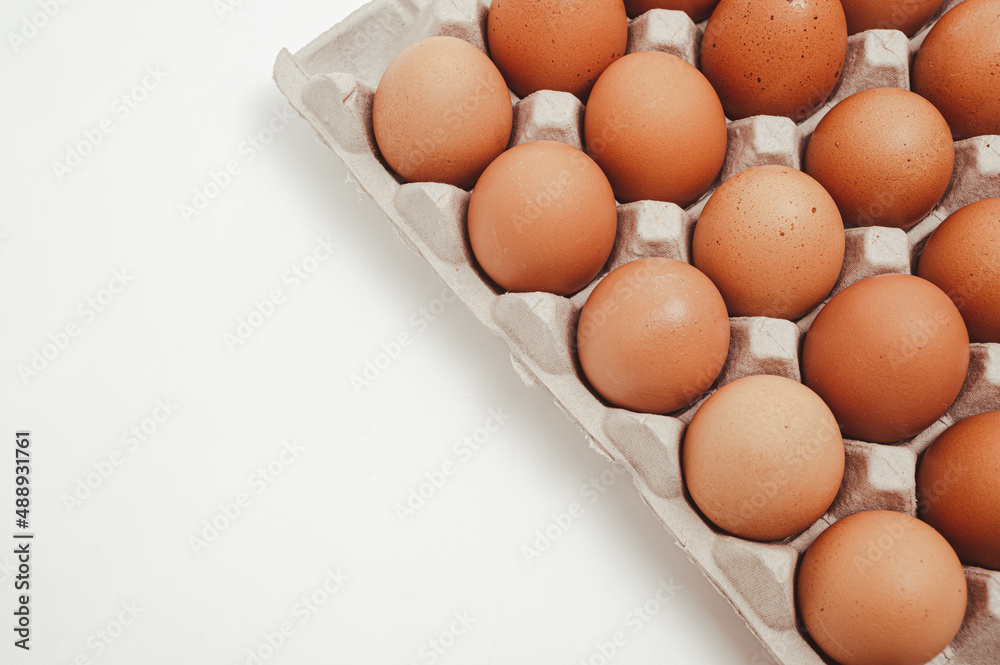 The white background with copy space and the eggs in the paper tray. The white background with copy space and the eggs in the paper tray.