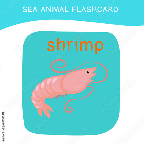 Cute sea animal flashcard for preschool children. English name with cartoon animals set. Card games for kids. Vector illustration.