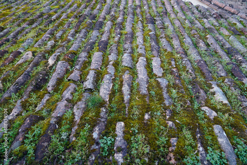 old tile roof covered with moss and vegetation photo