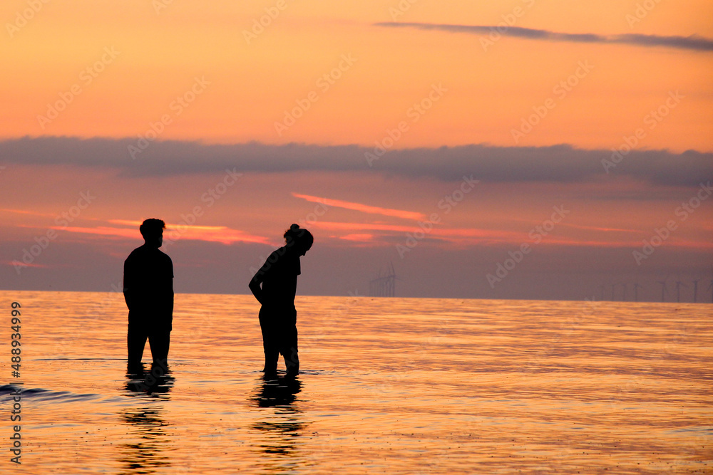 Fototapeta premium Sunset Swim at Golden hour