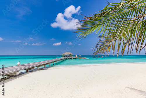 Fototapeta Naklejka Na Ścianę i Meble -  Overwater bungalow, shore coast landscape. Tropical island beach, amazing blue sky endless sea view with palm tree leaves, horizon, exotic luxury vacation villa, summer traveling destination, Maldives