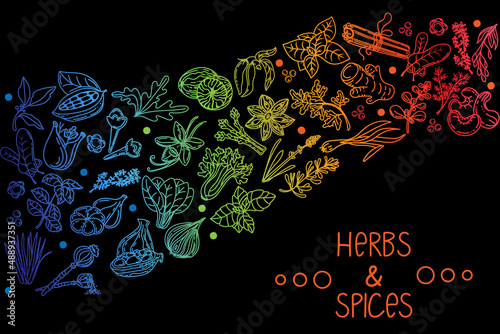Herbs and spices, hand-drawn doodle-style elements. Layout of packaging on a black background. Rainbow of aromatic plants. Culinary. Postcard design. Sketch style.