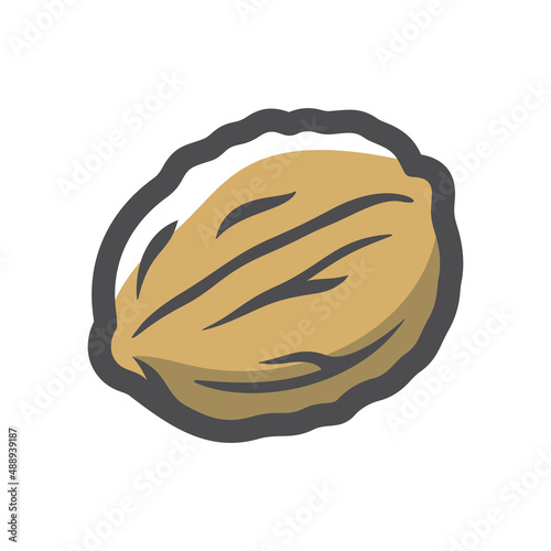Walnut in shell Vector icon Cartoon illustration.