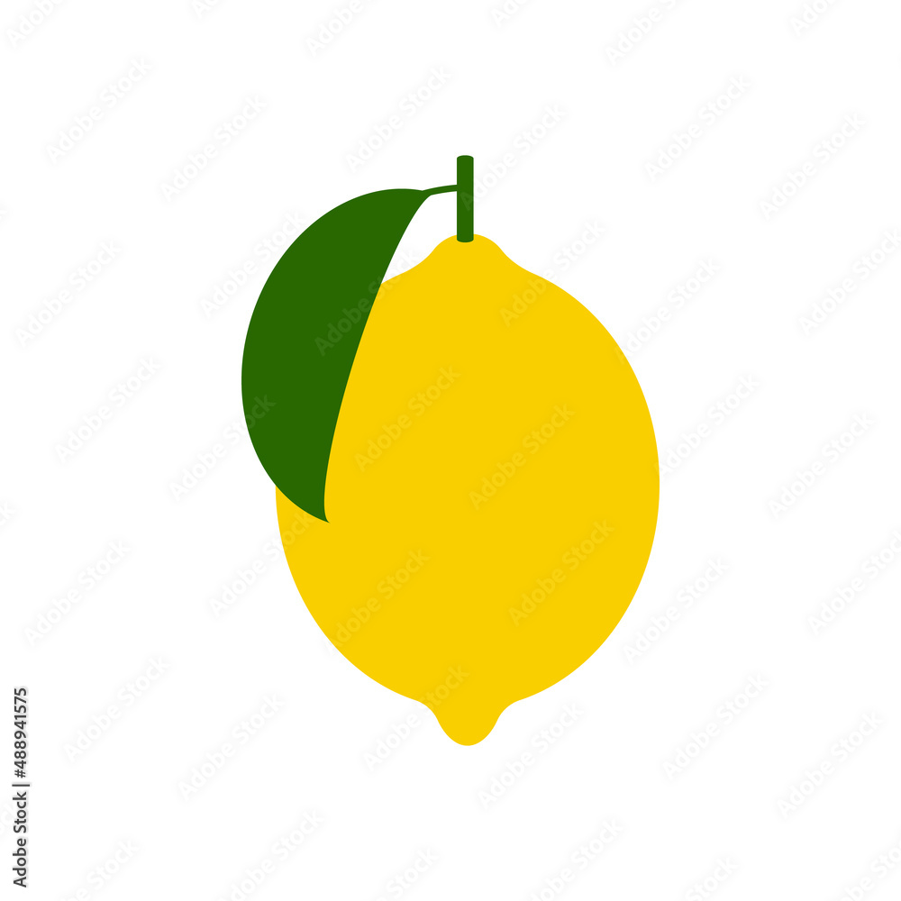 lemon isolated on a white background. vector