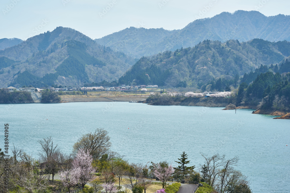 神奈川県　鳥居原園地からの宮ケ瀬湖
