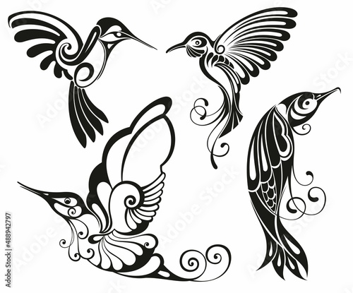 Hummingbird design vector illustration, Creative Hummingbird logo template, icon symbol