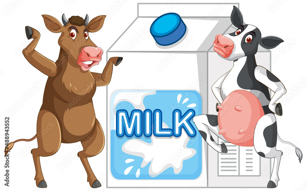 Obraz premium A couple of milk cows standing with a milk box