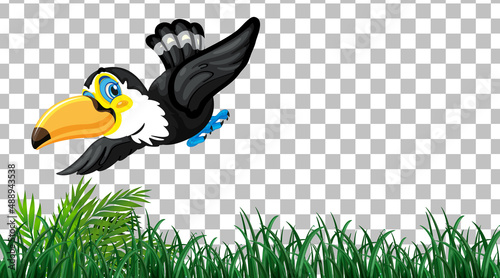 Toucan on the grass field on transparent background