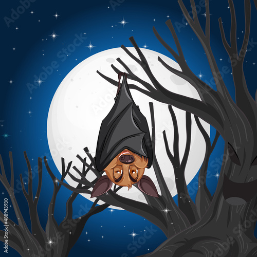 A bat hanging on tree at night scene