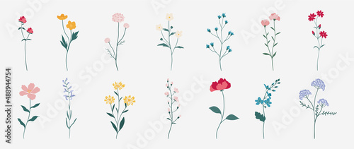 Collection of colorful floral elements in flat color. Set of spring and summer wild flowers, plants, branches, leaves and herb. Hand drawn of blossom vectors for decor, website, graphic and shop.