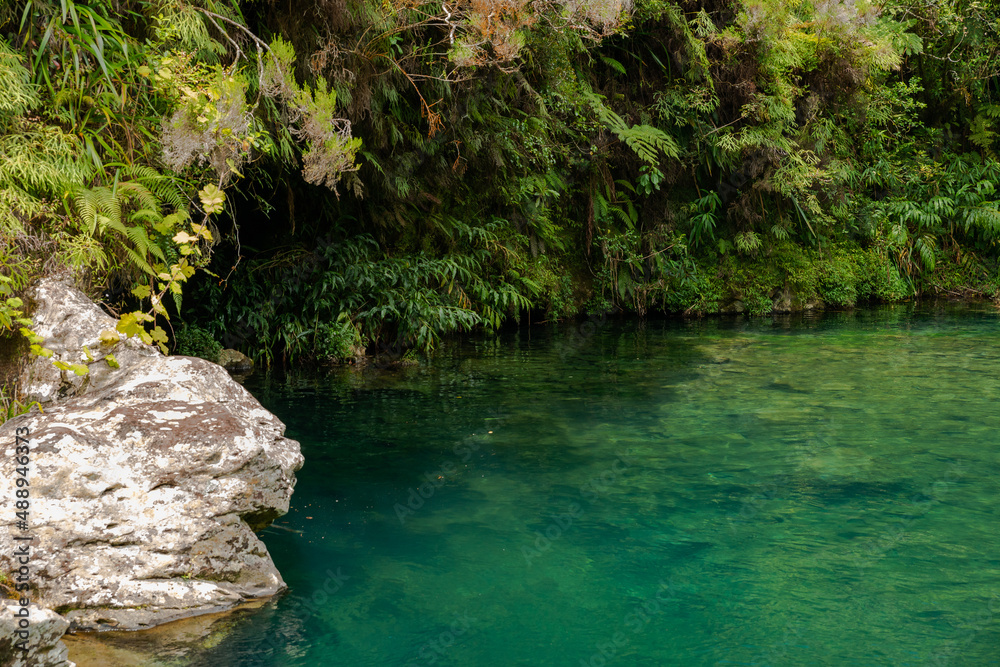 Bassin des Hirondelles- Forêt de Bébour - Ile de La Réunion