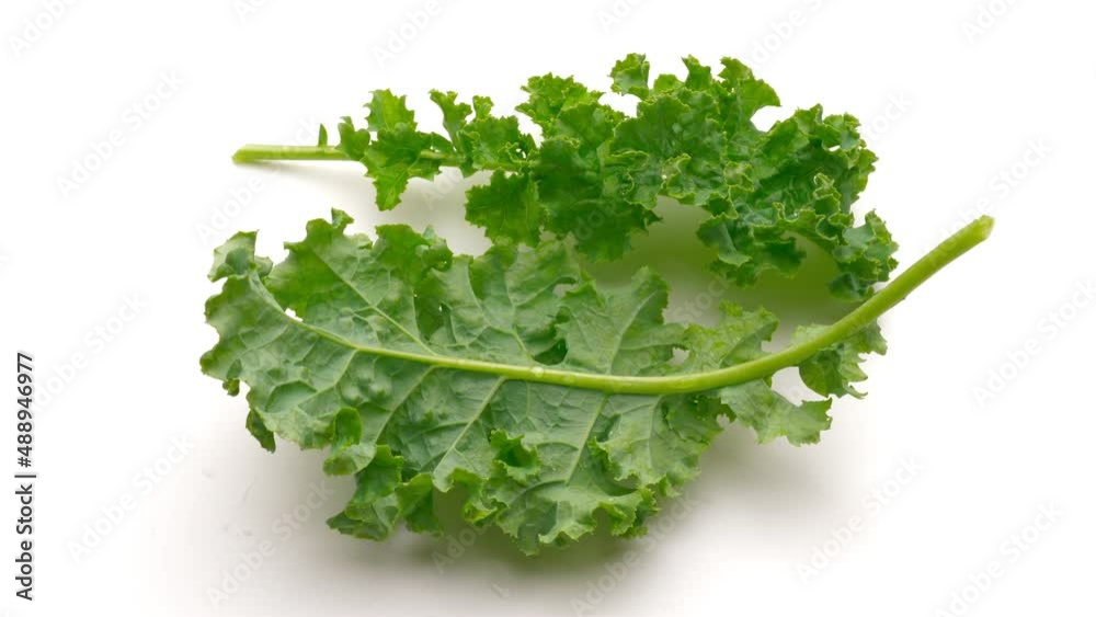 Green of kale leaves on white background.	