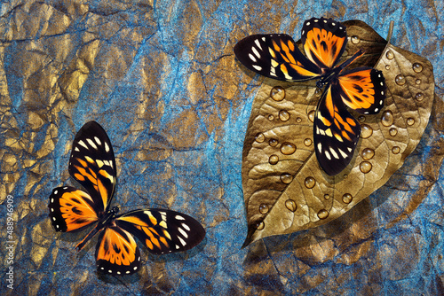 Bright tropical butterflies on a gold leaf in drops of water against a backgr...