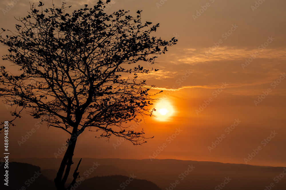aerial view silhouette tree growing on the top of the mountain orange sunrise Morning sky, clouds, sunset view, mountain ranges and cloudy sky reflecting sunlight yellow nature