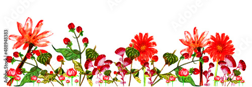Banner con fiori rossi isolati su sfondo bianco photo