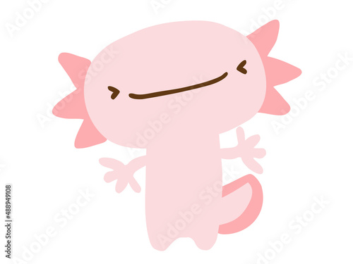 かわいいウーパールーパー／手描きイラスト素材
