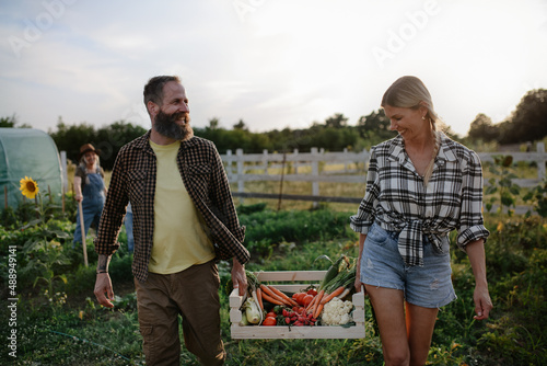Happy mid-adult couple carrying crate with homegrown vegetables at community farm. photo