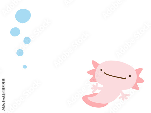 かわいいウーパールーパーとあぶく／手描きイラスト素材