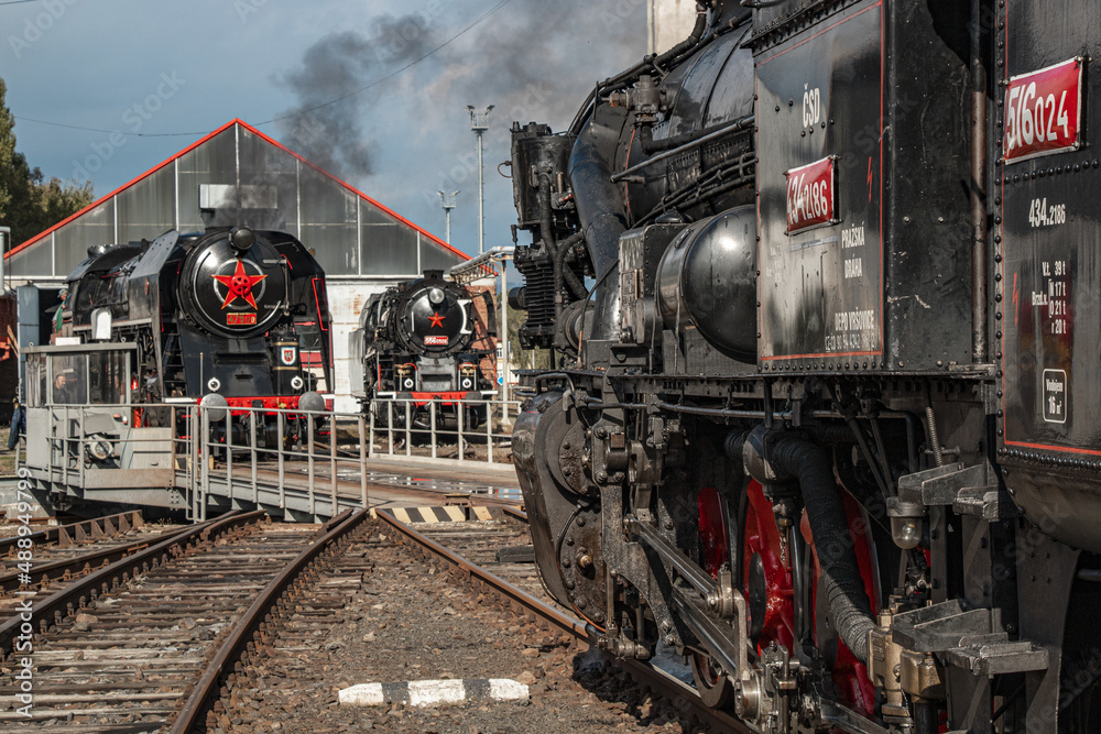 Obraz premium meeting of Czechoslovak steam locomotives in the depot