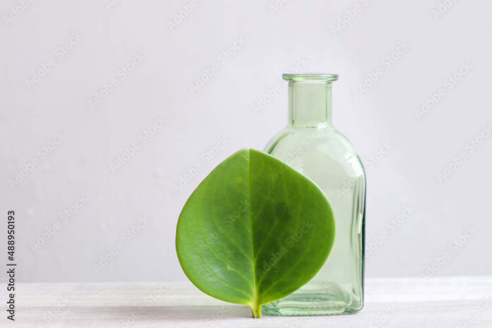 Live in a clean world: green fresh leaf on the background of a clean glass bottle, gray background, space for text Live in a clean world: green fresh leaf on the background of a clean glass bottle, gray background, space for text